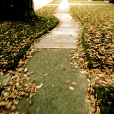 fall-walk.JPG